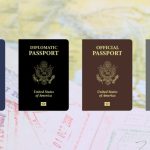 What is the meaning of type in passport?