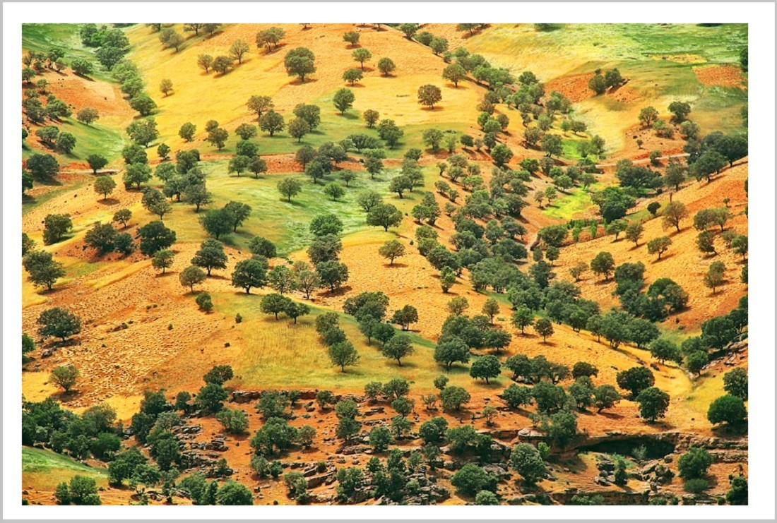 جاهای دیدنی یاسوج