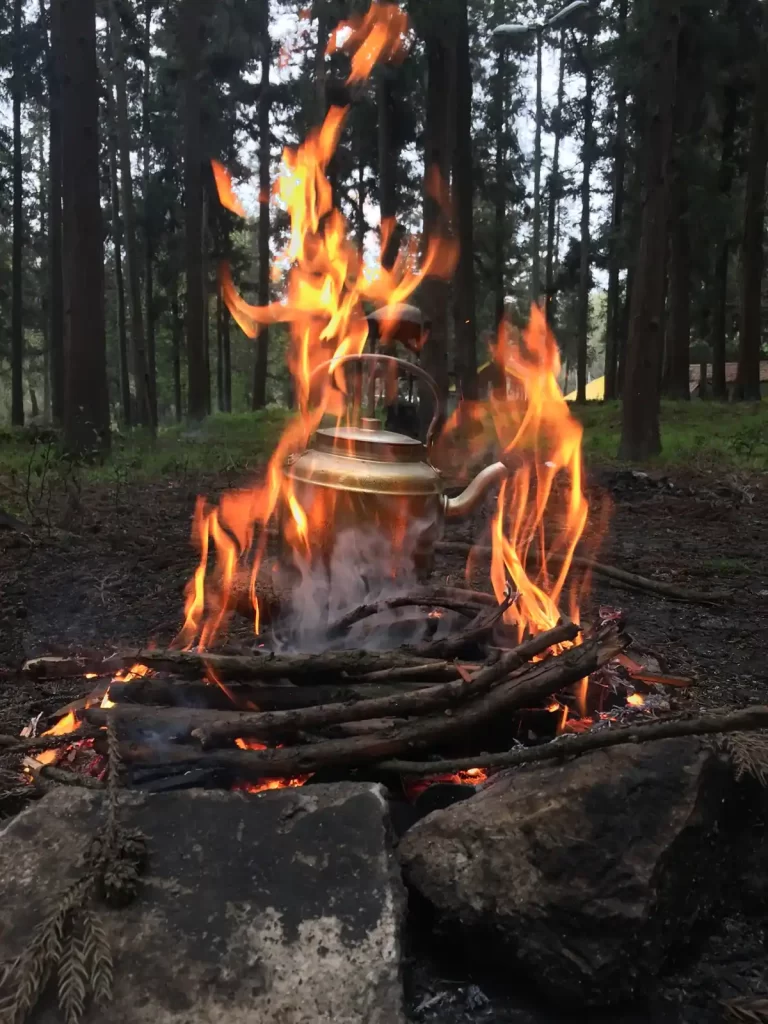جاهای دیدنی آمل در شب