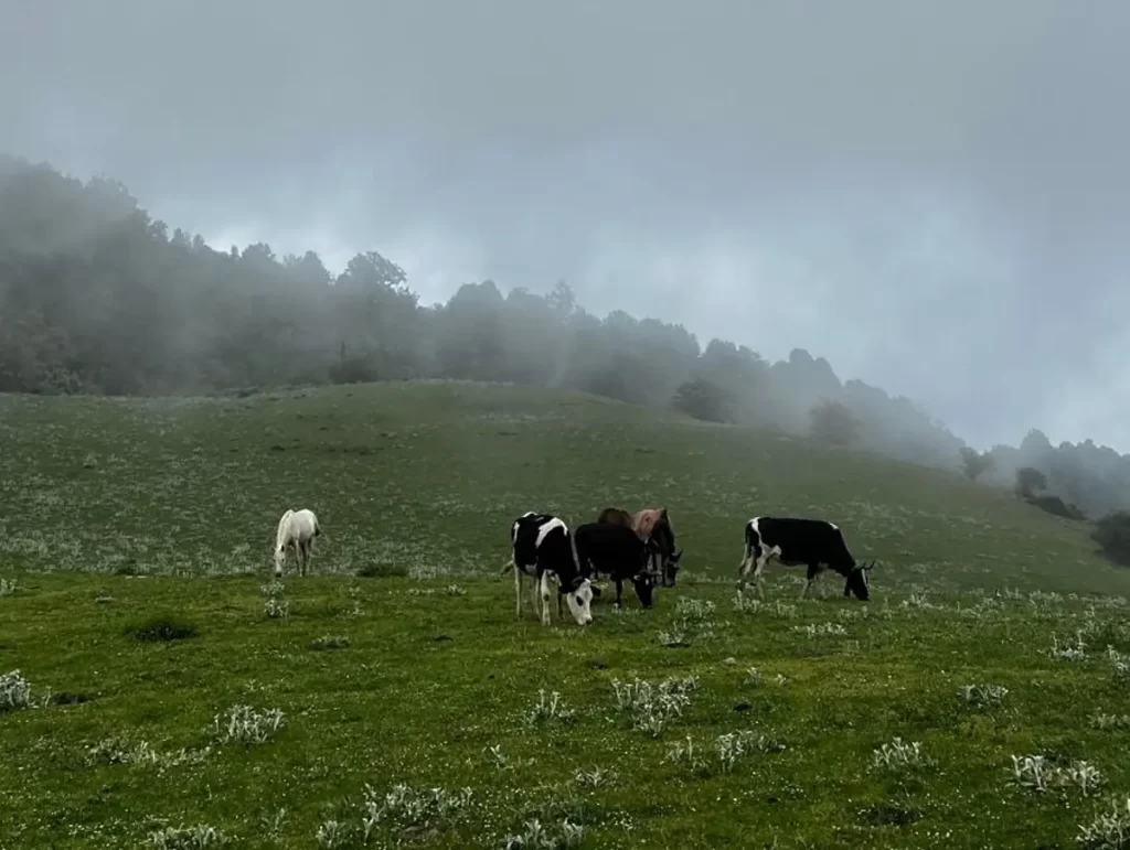 بهترین زمان بازدید از روستای درازنو