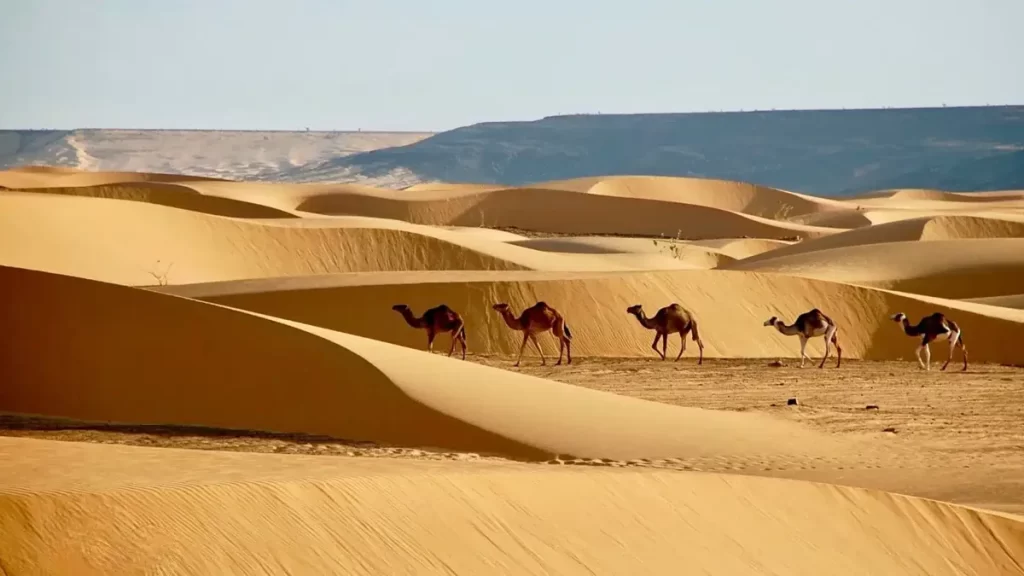 گرمترین قاره جهان