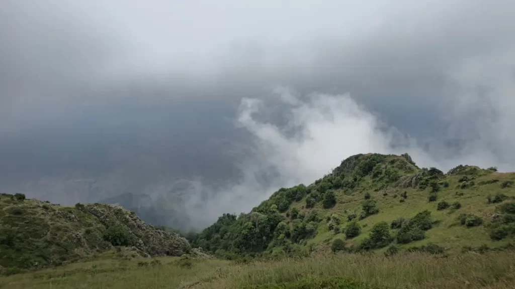 جنگل ارفعده