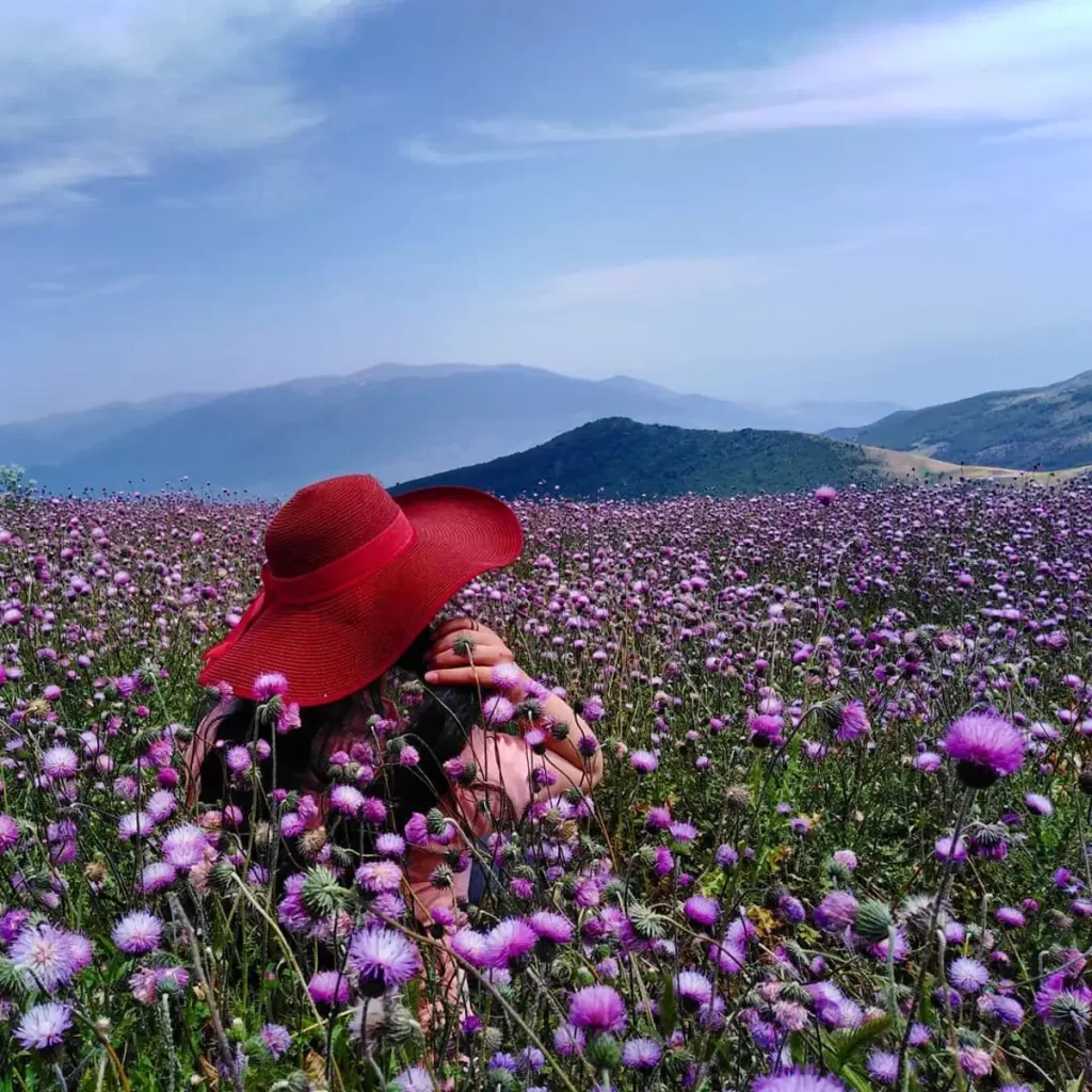 جاهای دیدنی رستم آباد