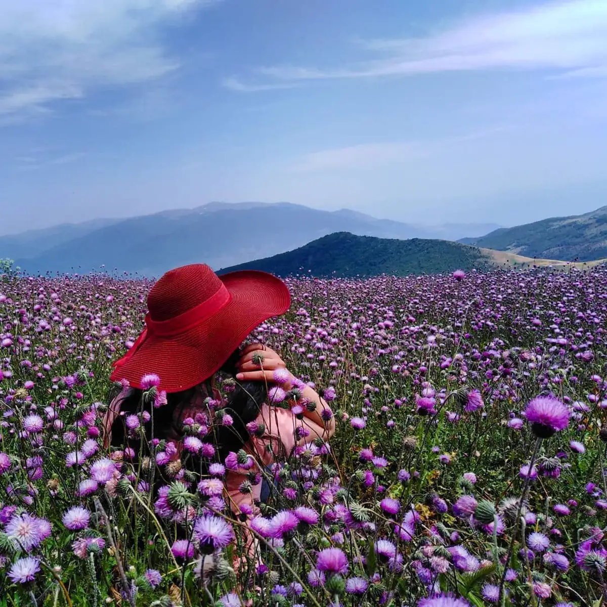 جاهای دیدنی رستم آباد