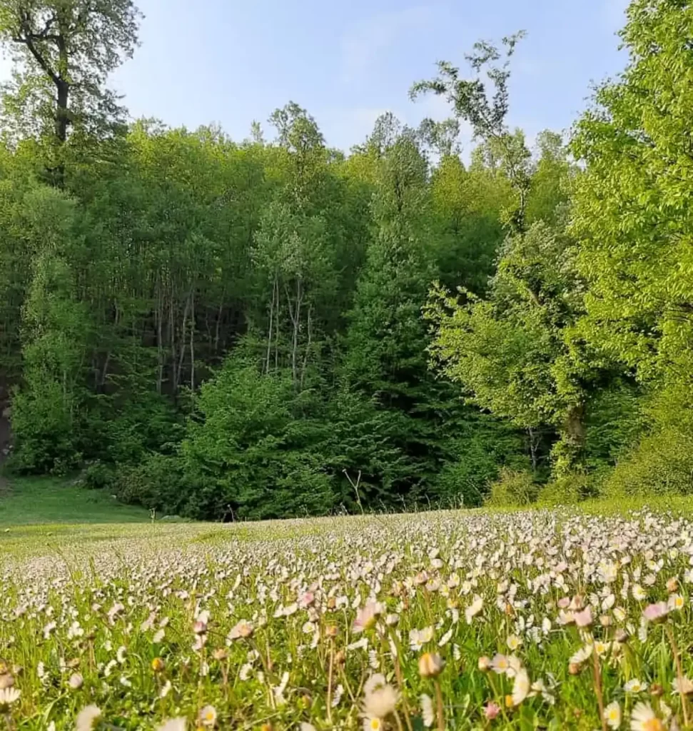 جاهای دیدنی رستم آباد