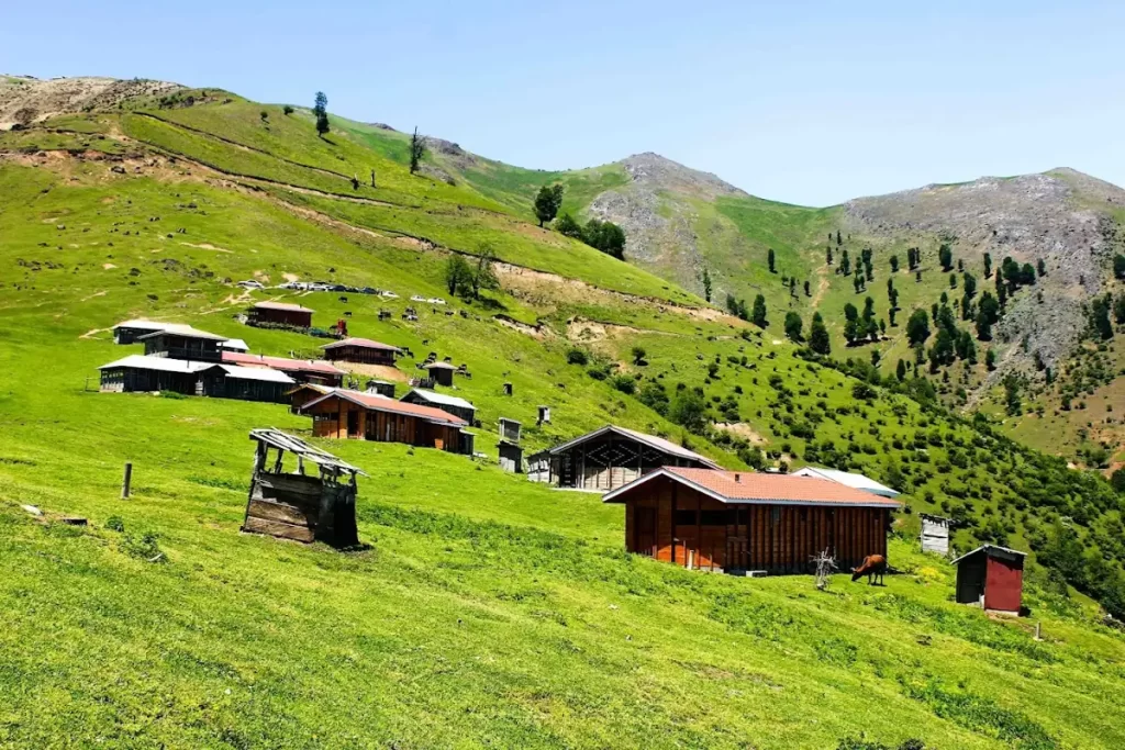 اجاره کلبه در ییلاق سوئه چاله