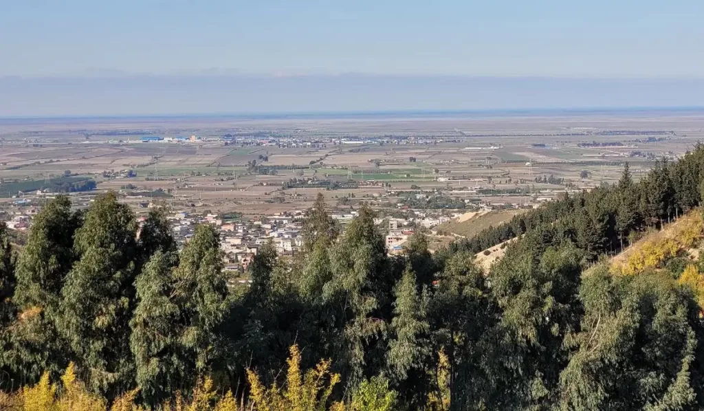 جنگل هزارجریب
