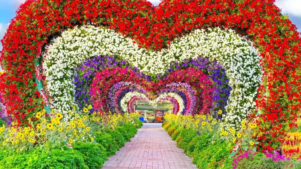 تونل گل باغ گل دبی