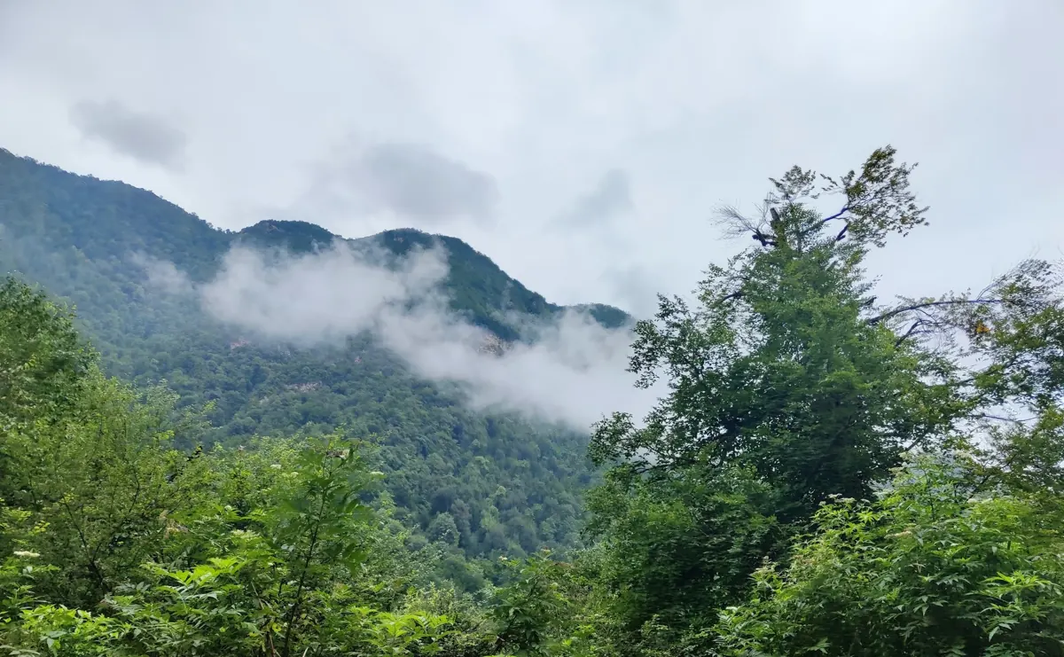 جاهای دیدنی چمستان