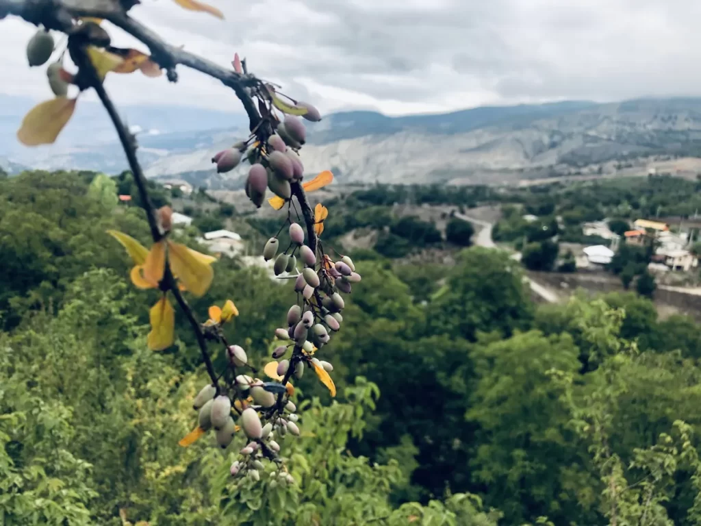 روستای حیرت