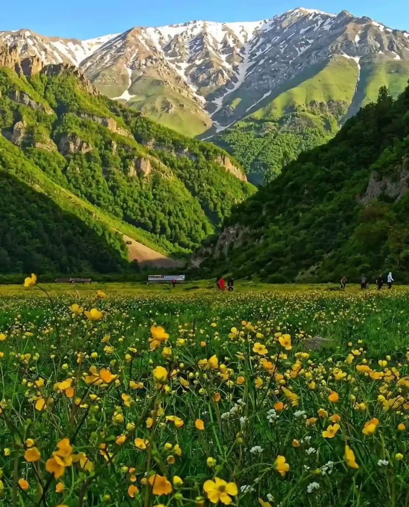دشت دریاسر
