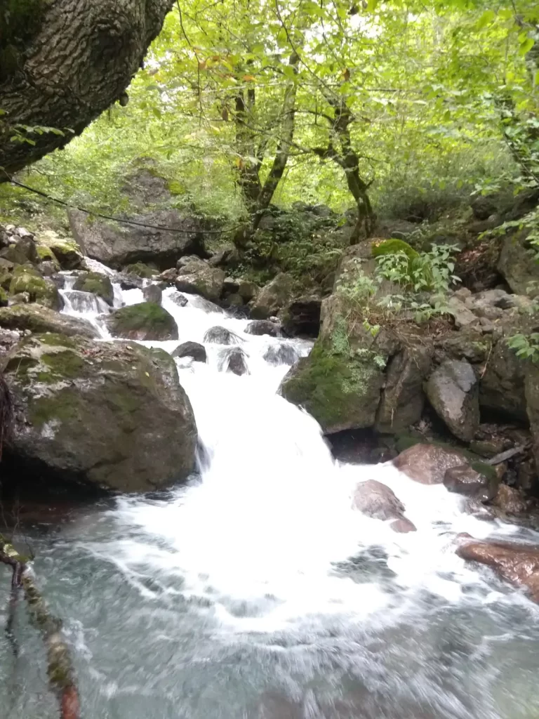 آبشار سنگ بن چشمه