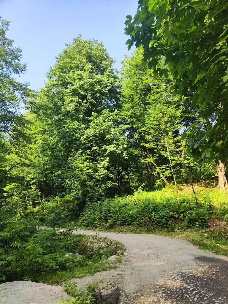 پارک ملی خشکهداران