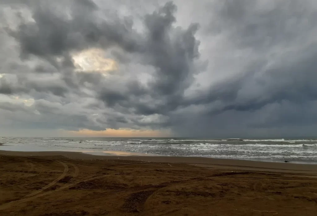 ساحل چپکرود