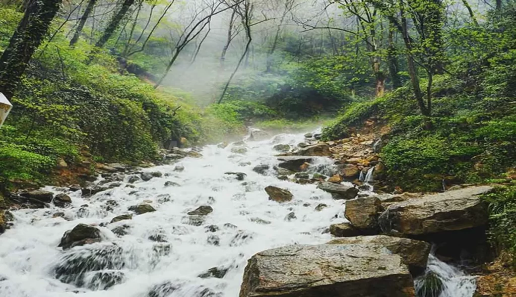 سیاهرود