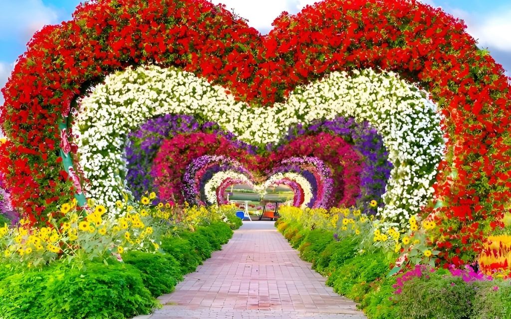 قلب باغ میراکل گاردن دبی