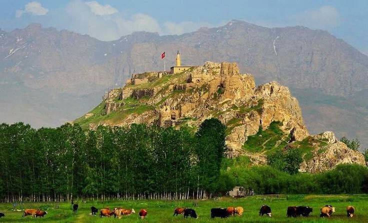 قلعه وان