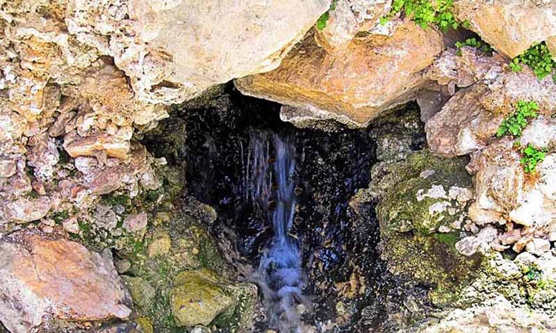 چشمه مرتضی علی طبس