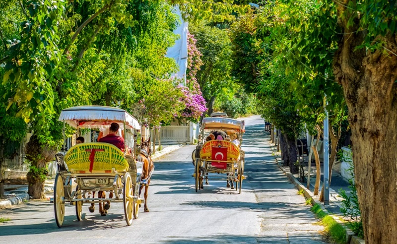جزایر پرنس