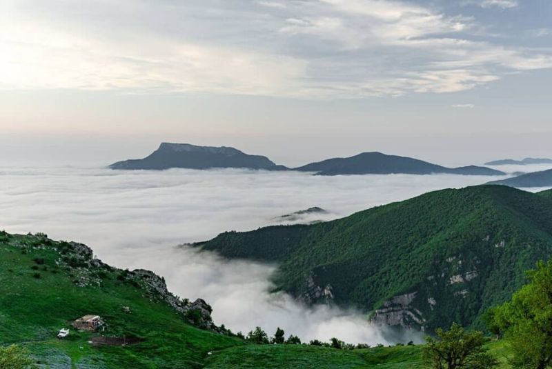 جنگل ابر در سمنان
