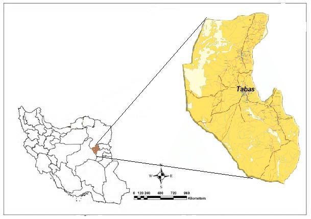طبس روی نقشه