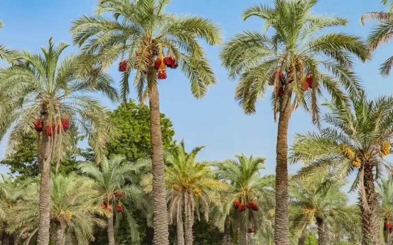 راهنمای سفر به شهرهای ناشناخته ایران