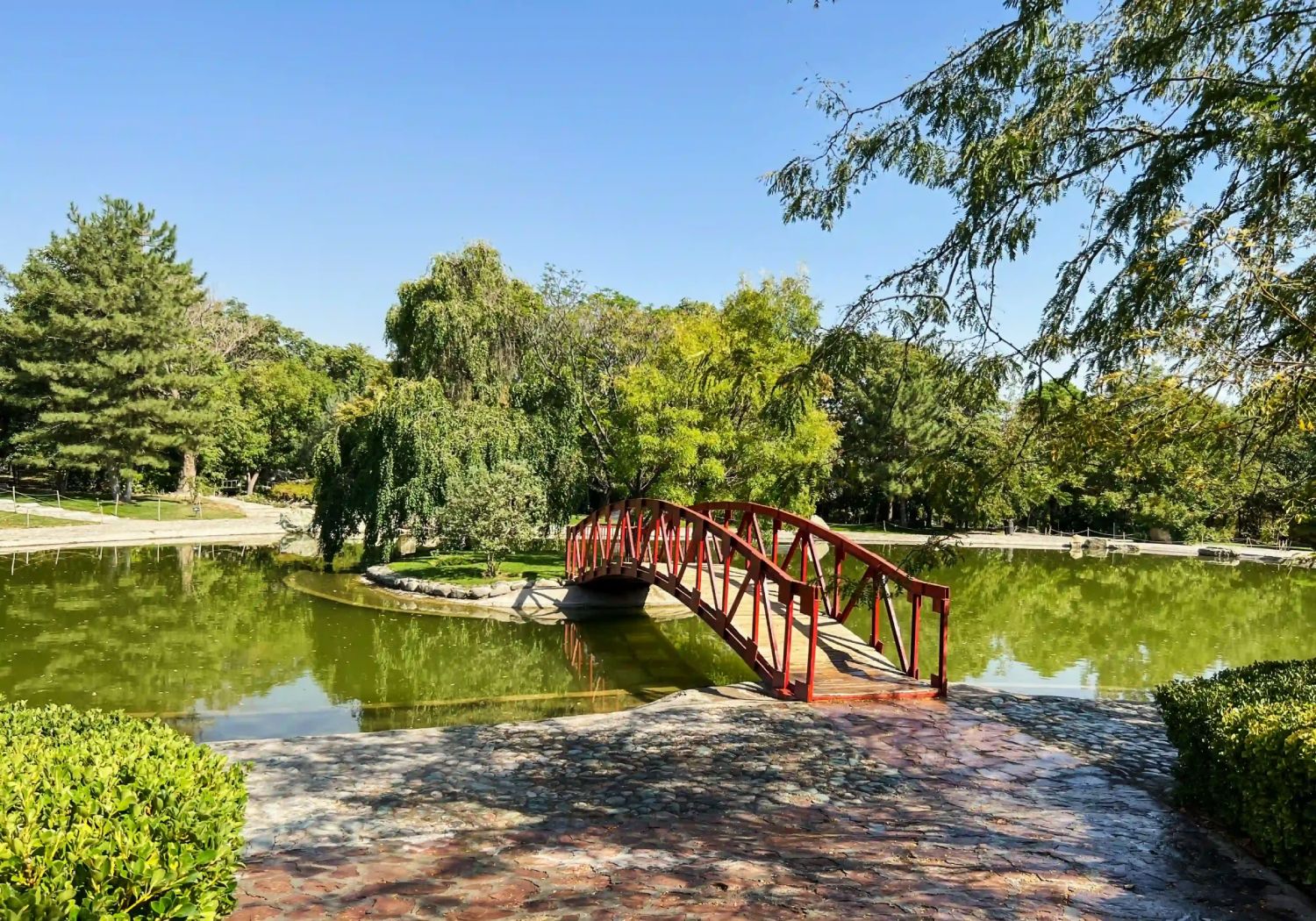 باغ گیاه‌شناسی تهران با مترو: راهنمای بازدید و تمام نکات ضروری برای سفر