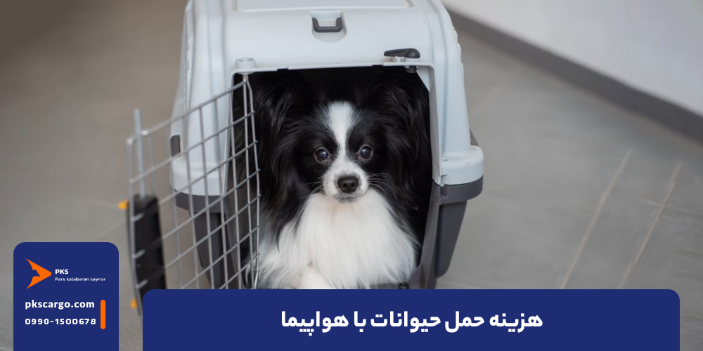 هزینه حمل حیوانات با هواپیما