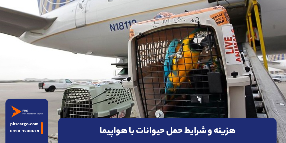 تصویر پیش‌فرض