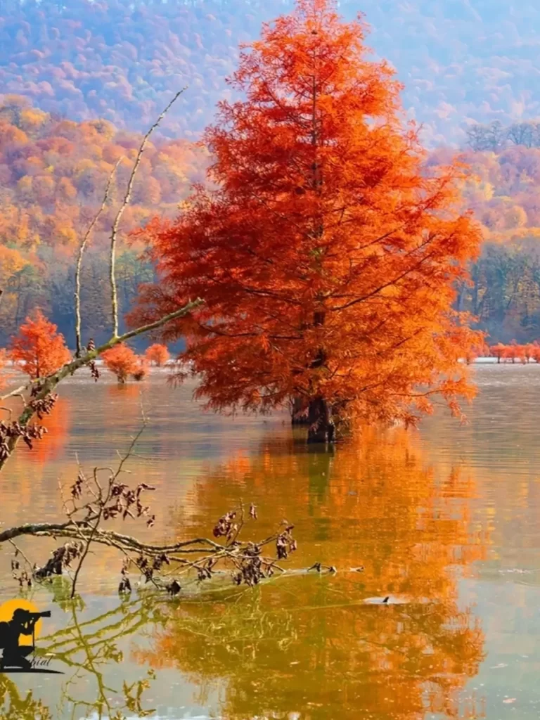 زیبایی‌های پاییز