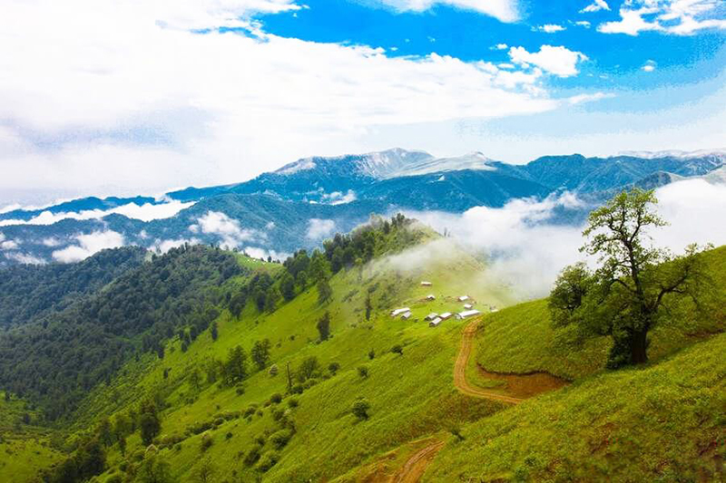 تصویر پیش‌فرض