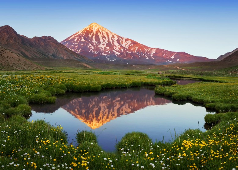 فضای سبز و طبیعت