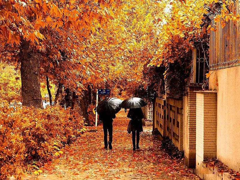 عشاق در پاییز