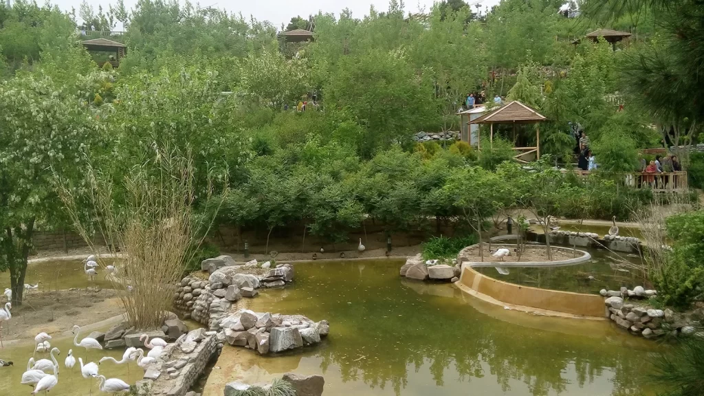 تهرانگردی در باغ پرندگان با اجاره خودرو