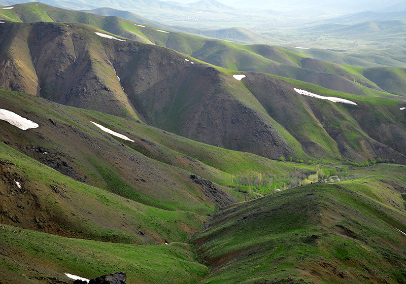 تصویر پیش‌فرض