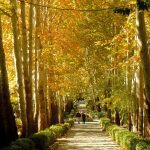 بهترین پارک‌های تهران در پاییز: جاذبه‌های طبیعی و آرامش‌بخش