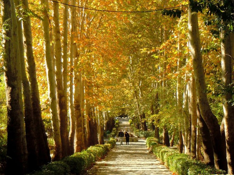 بهترین پارکهای تهران در پاییز: جاذبههای طبیعی و آرامشبخش