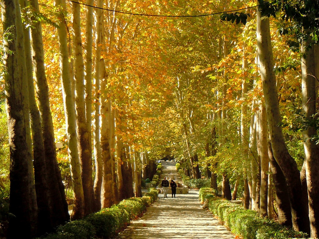 بهترین پارک‌های تهران در پاییز: جاذبه‌های طبیعی و آرامش‌بخش