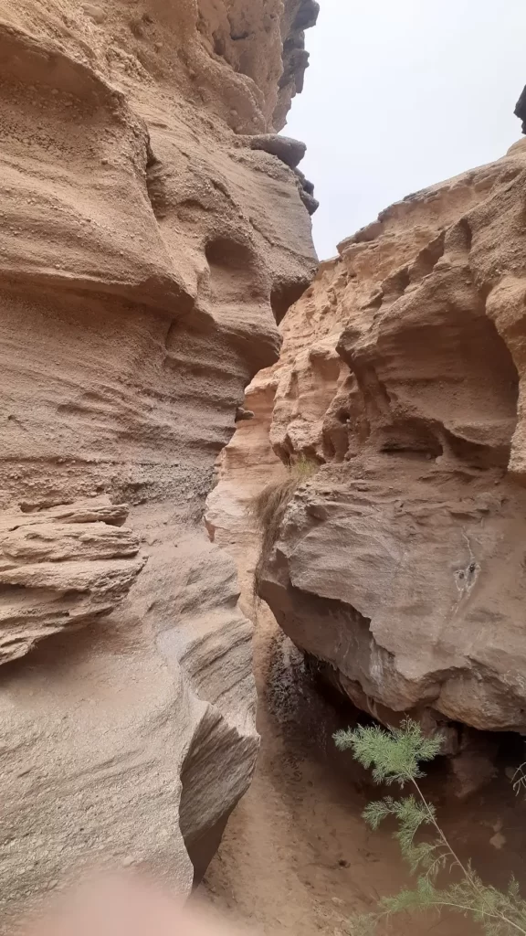 تصویر پیش‌فرض