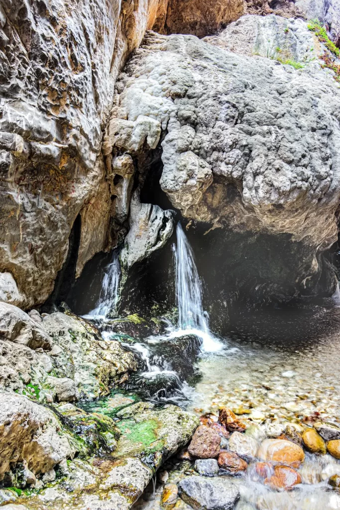 کال جنی طبس روی نقشه