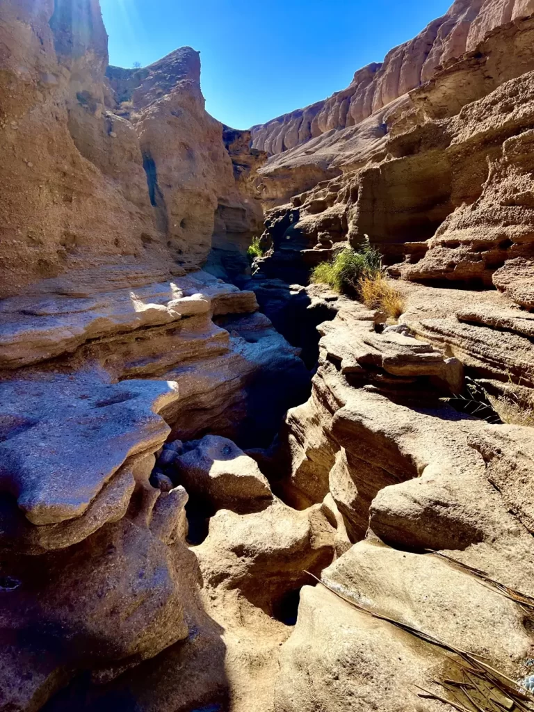 کال جنی در شب