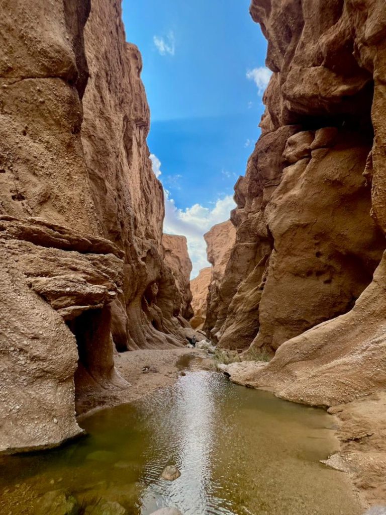 رودخانه کال جنی