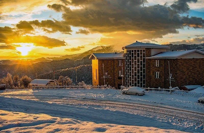 گلستان برای عاشقان سرما