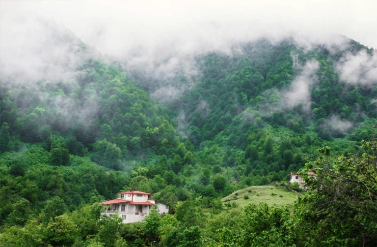 زیباترین جنگل های ایران معرفی، مقایسه و راهنمای انتخاب بهترین جنگل برای سفر