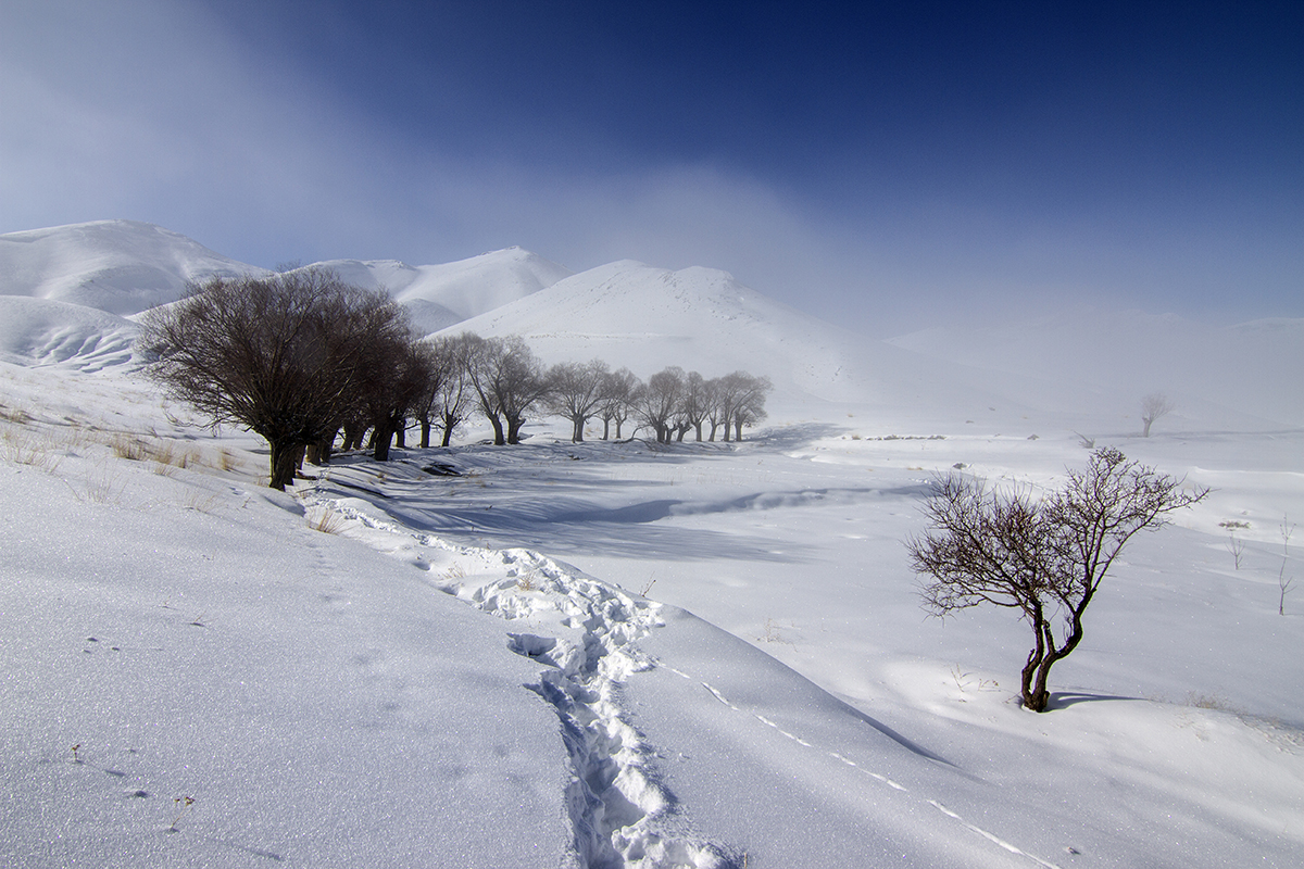 زمستان؛ یک جاذبه گردشگری جذاب| سنگین ترین برف ایران و برفی‌ترین مقاصد