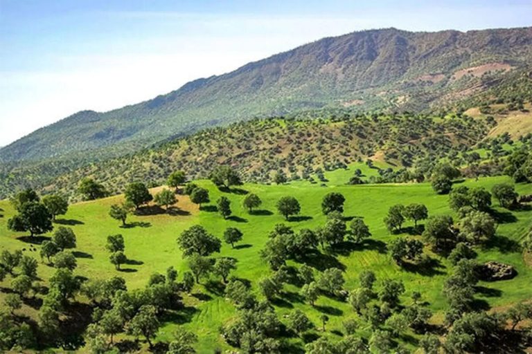 طبیعت زیبای ایلام