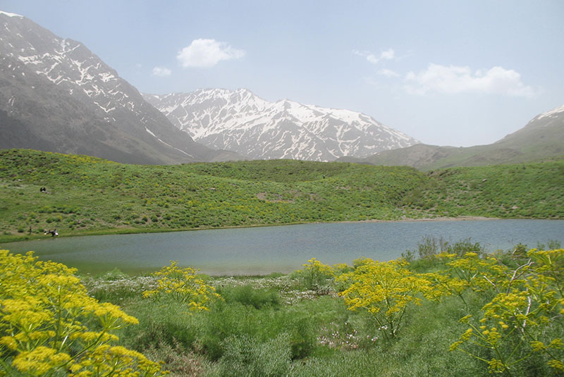 پارک جنگلی یاسوج