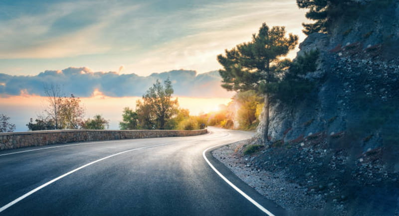 حرکت در ساعات خنک و پرانرژی روز