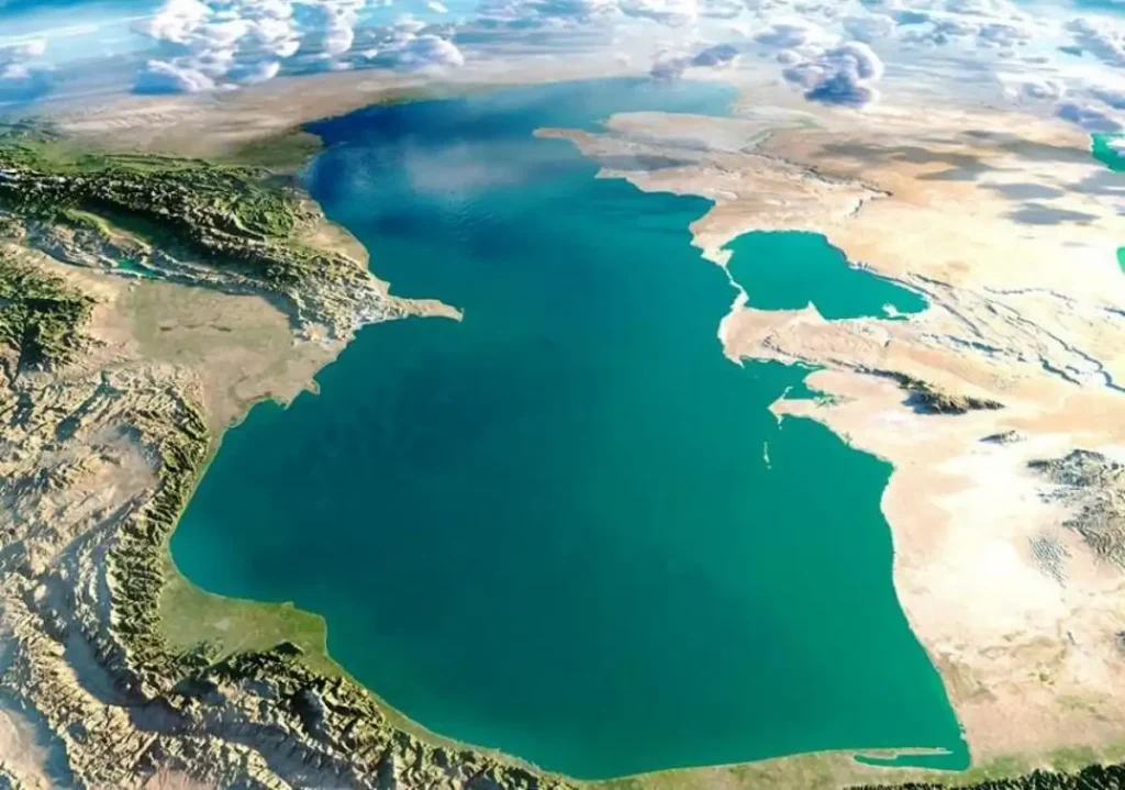 آیا دریای خزر در شمال دلفین دارد؟