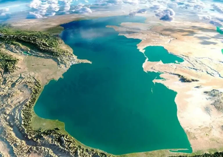 آیا دریای خزر در شمال دلفین دارد؟